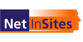 Netinsites logo